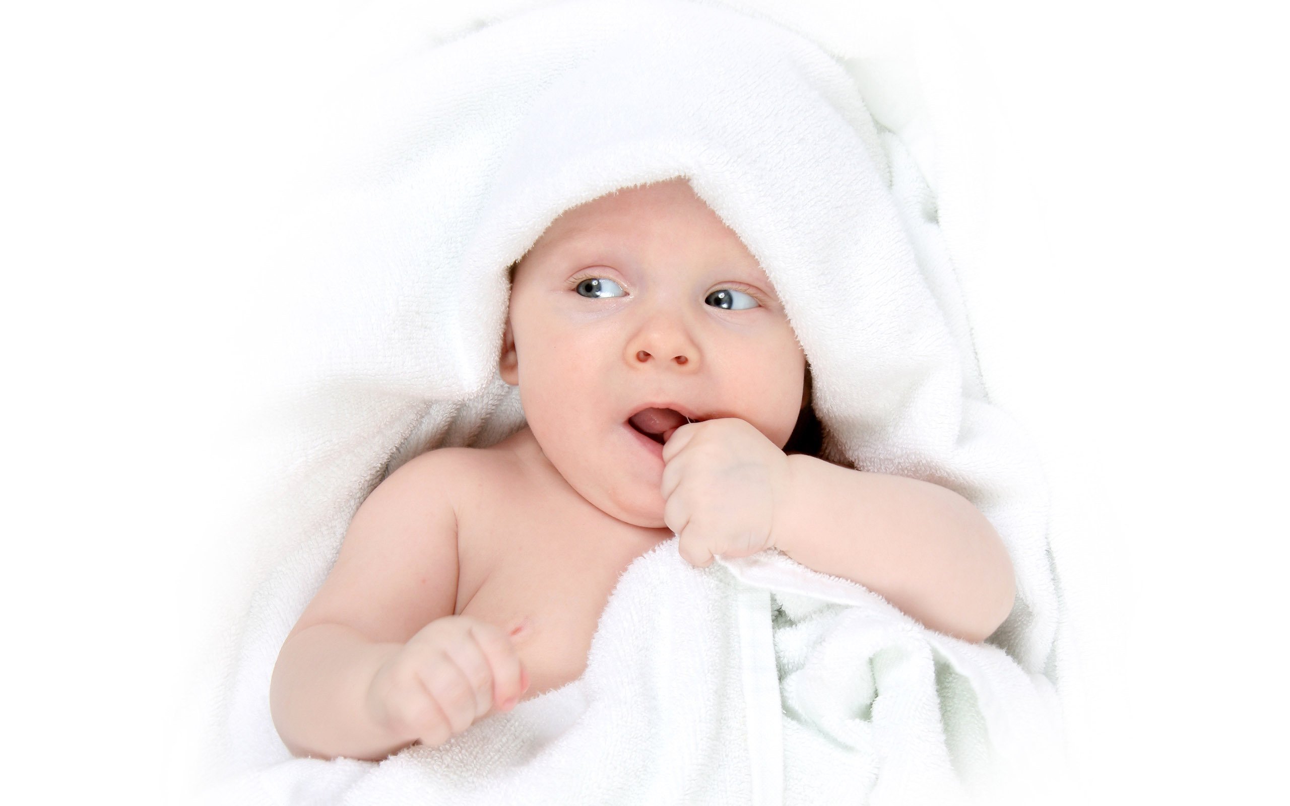 哈尔滨助孕公司机构试管婴儿成功率
