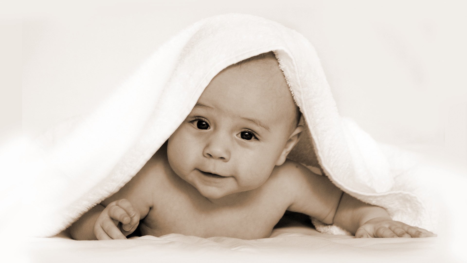 温州正规捐卵机构试管婴儿成功率怎么算